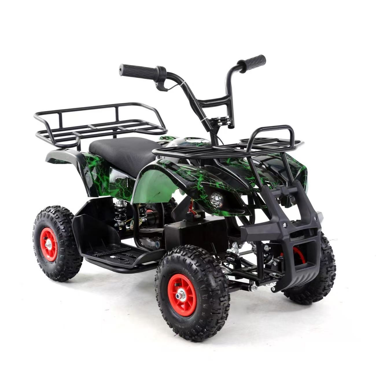 Beach Off-Road Electric Vehicle