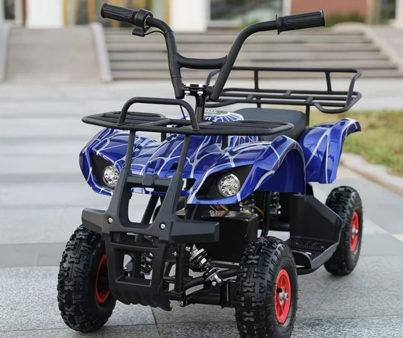 Beach Off-Road Electric Vehicle