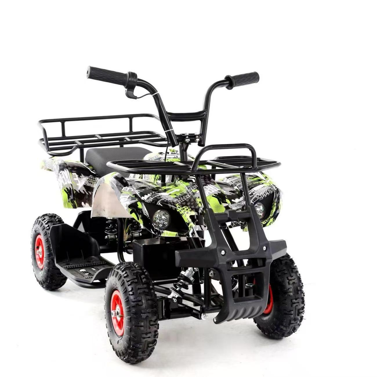 Beach Off-Road Electric Vehicle