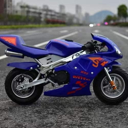 Mini Motorcycle
