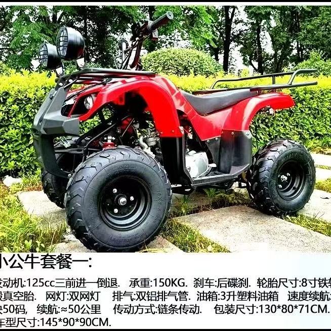 Adult off-road beach buggy