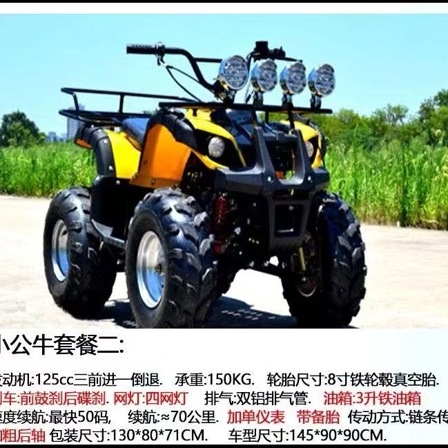 Adult off-road beach buggy