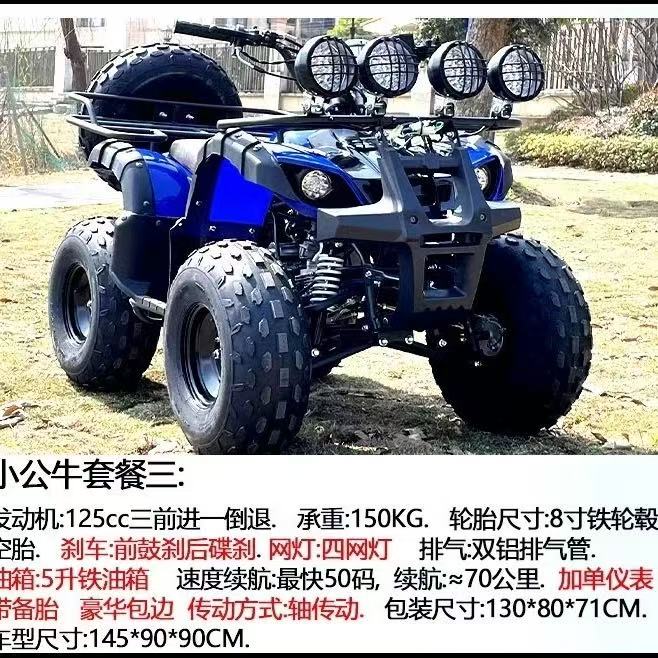 Adult off-road beach buggy