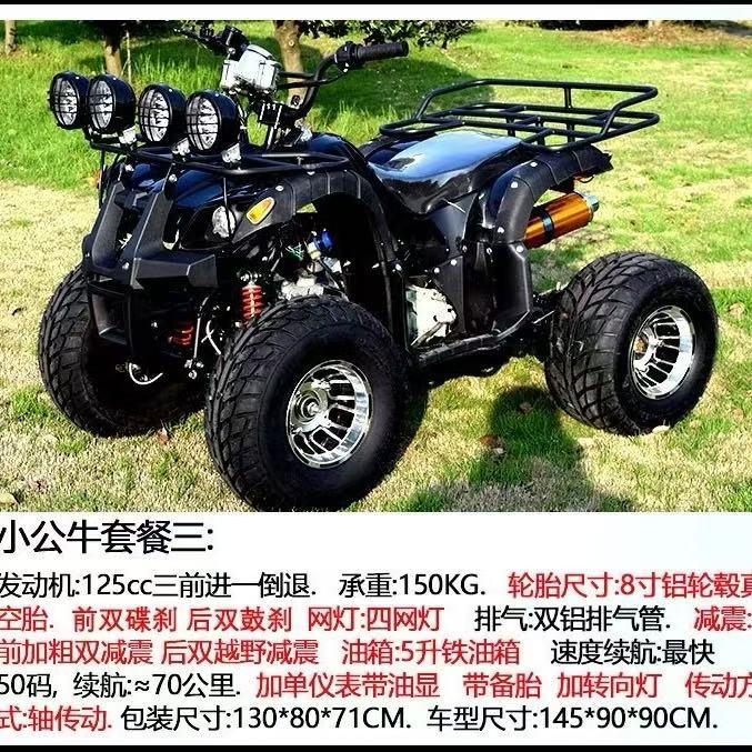 Adult off-road beach buggy