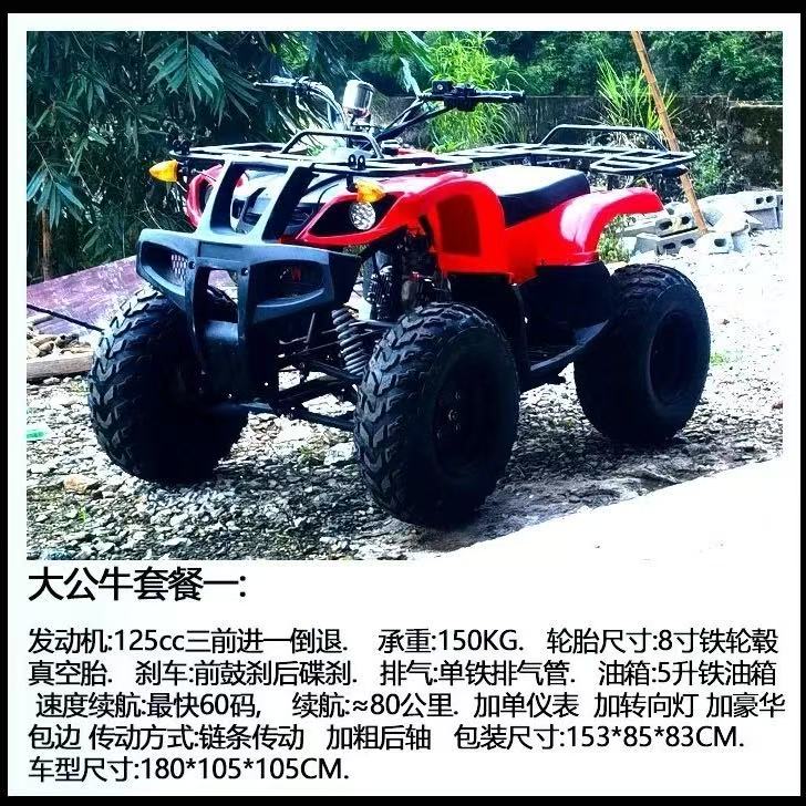 Adult off-road beach buggy