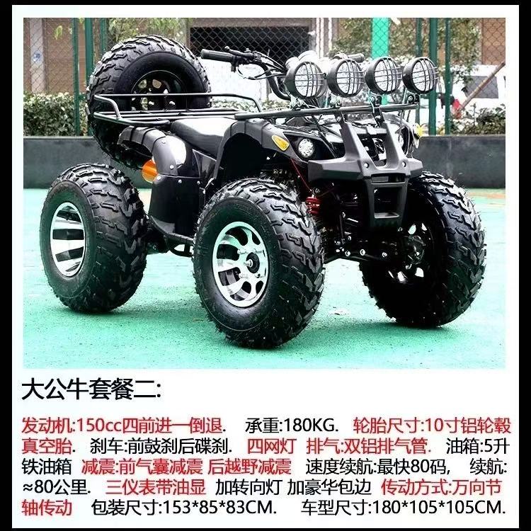 Adult off-road beach buggy