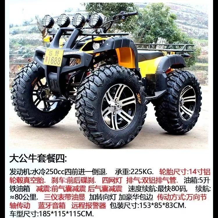 Adult off-road beach buggy