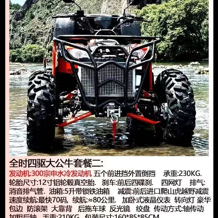 Adult off-road beach buggy