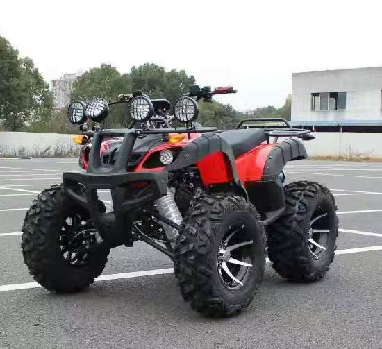 Adult off-road beach buggy