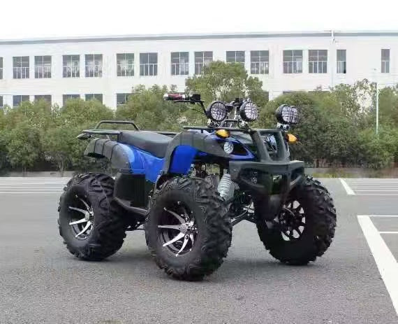 Adult off-road beach buggy
