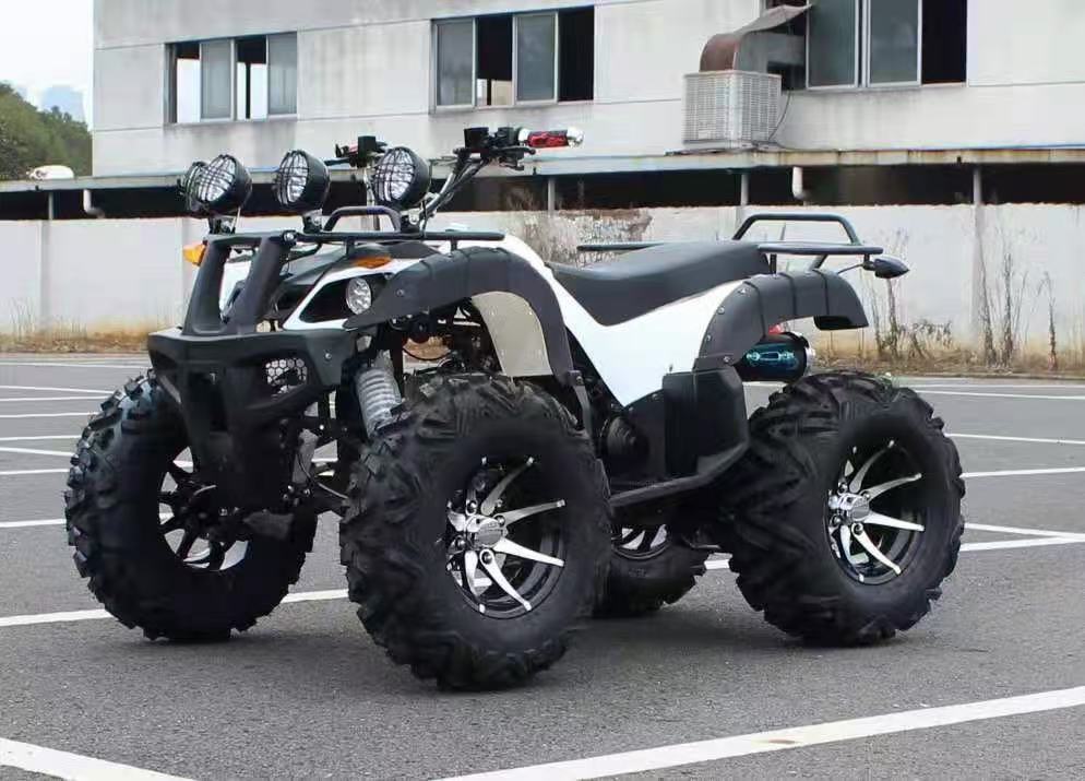 Adult off-road beach buggy