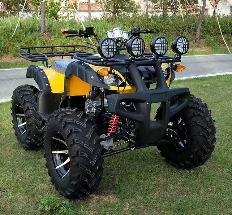 Adult off-road beach buggy